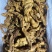 熟食卤味卤肥肠全熟卤肥肠