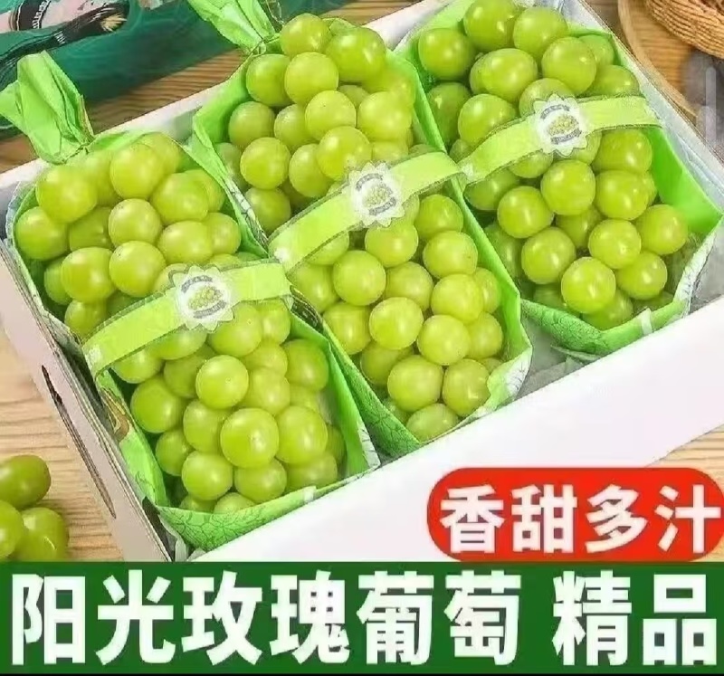 【精选】云南精品阳光玫瑰，香甜多汁基地直供需要的客户联系