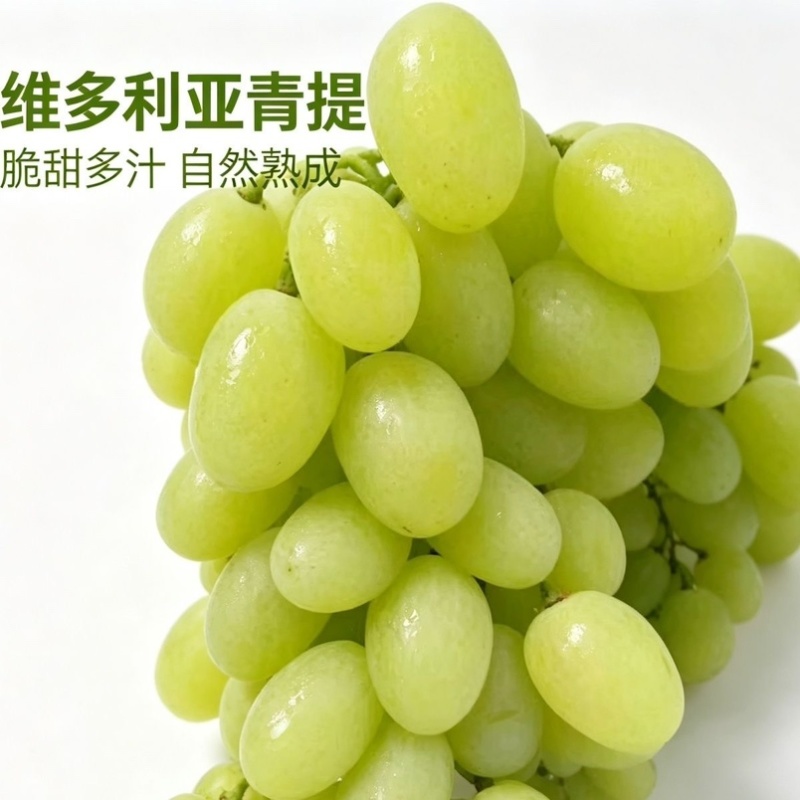 【坏果包赔】维多利亚葡萄无籽青提香甜浓郁现摘新鲜