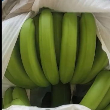 香蕉