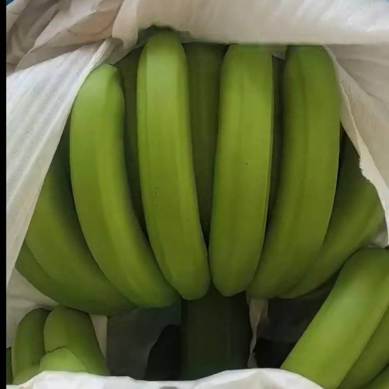 香蕉