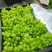 维多利亚青提葡萄头茬采摘大量现货脆甜多汁价格实惠