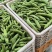 精品大蚕豆基地直发量大质优对接全国市场档口商超电商平台