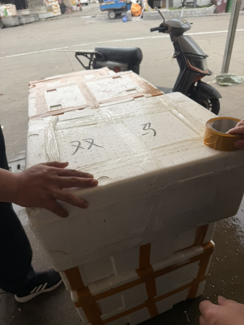小龙虾批发