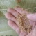 虾粉/饲料原料/货源充足/大量现货/欢迎选购