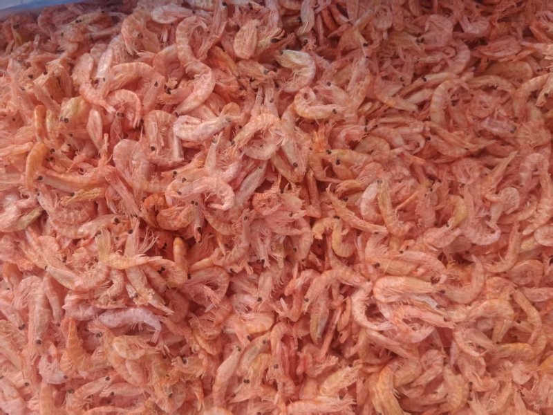 虾粉/饲料原料/货源充足/大量现货/欢迎选购
