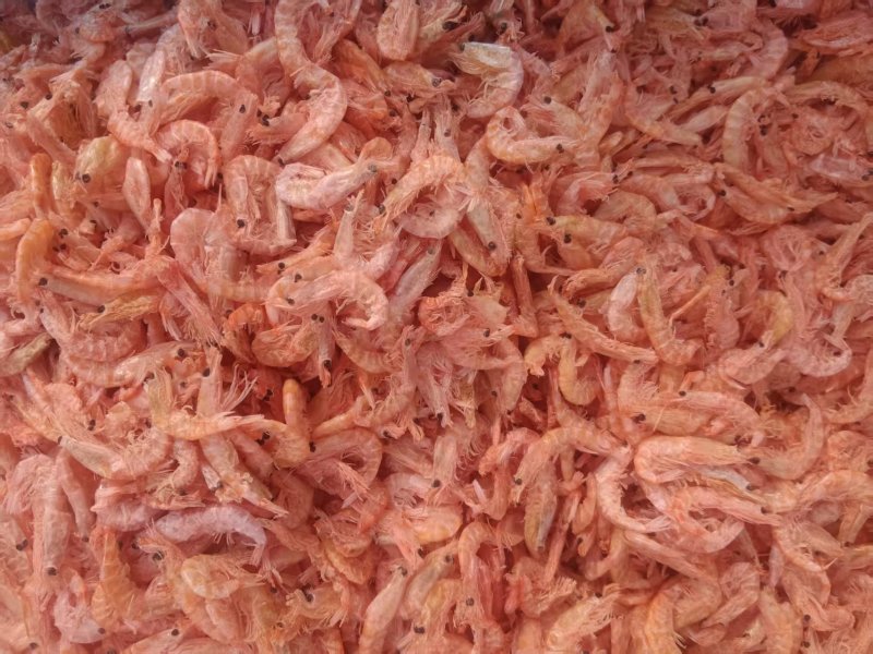 虾粉/饲料原料/货源充足/大量现货/欢迎选购