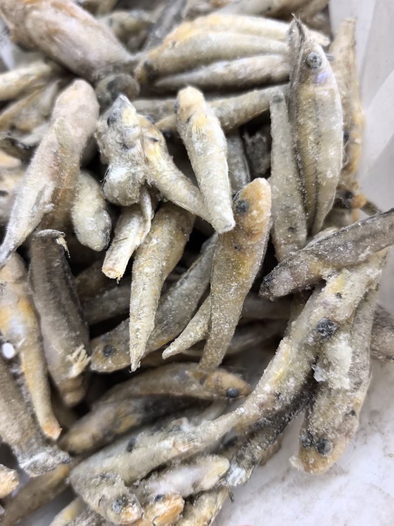 单冻的小黄鱼欢迎下单：量大从优各种规格都有