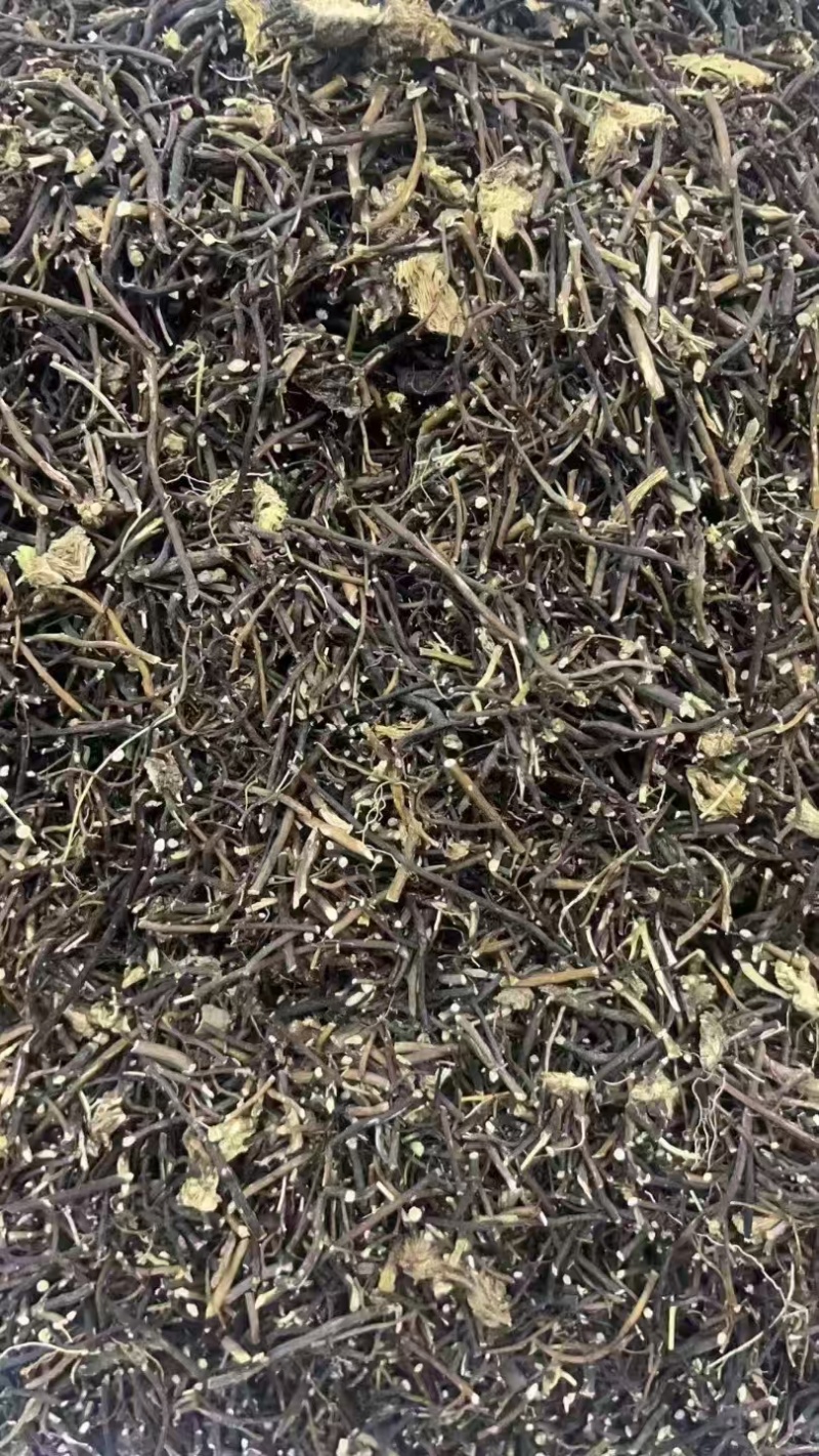 威灵仙正品保证东北威灵仙批发各种中药材量大从优