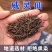 威灵仙正品保证东北威灵仙批发各种中药材量大从优