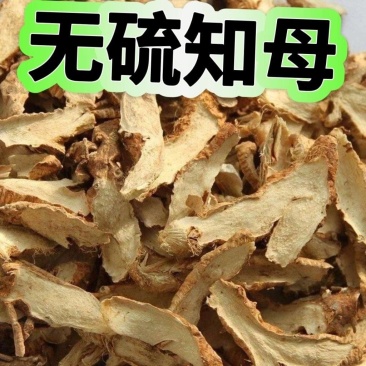 正品知母中药材批发知母道地药材量大从优