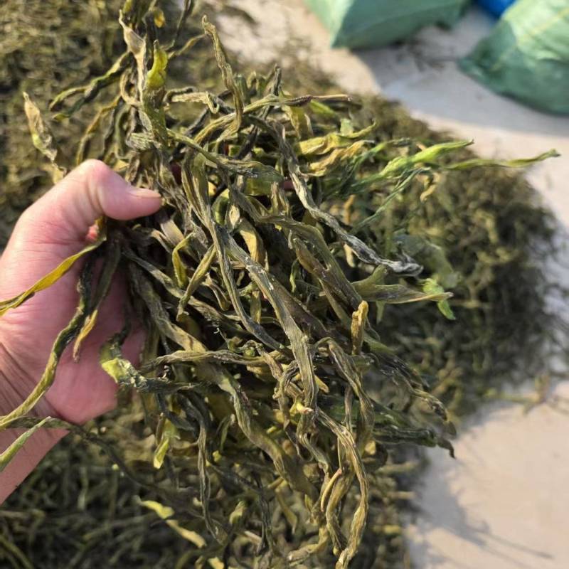 架豆王