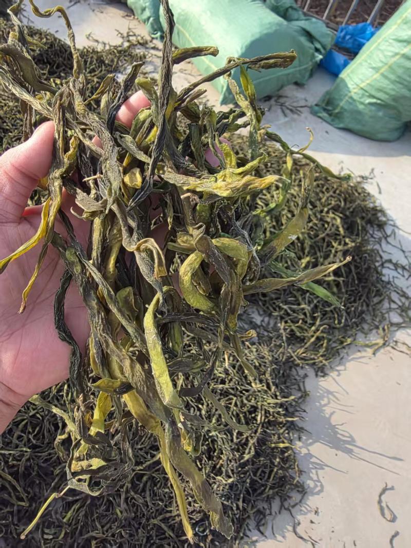 架豆王