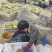 精品西葫芦产地直发全国发货质量保证支持各种包装市场商超