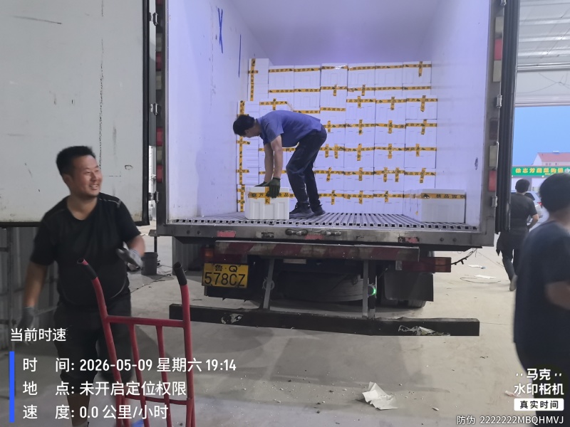 精品西葫芦产地直发全国发货质量保证支持各种包装市场商超