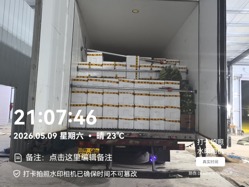 精品西葫芦产地直发全国发货质量保证支持各种包装市场商超