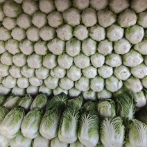 自己家种的白菜0.25左右无其他费用