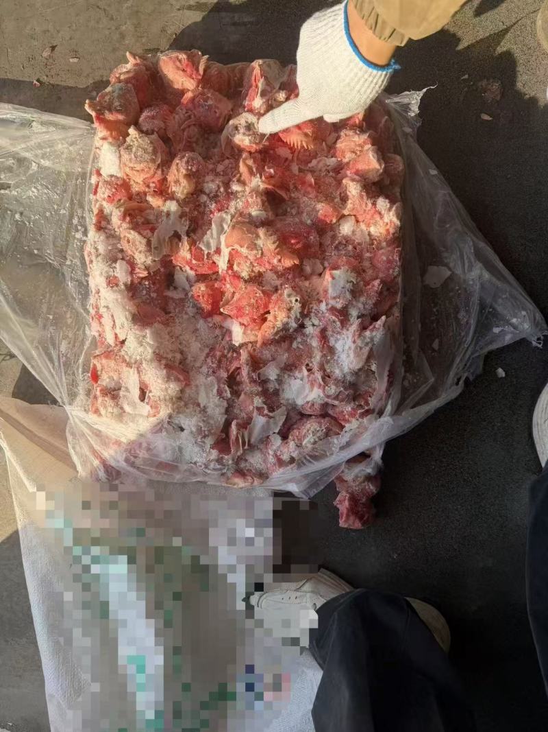 鸡头