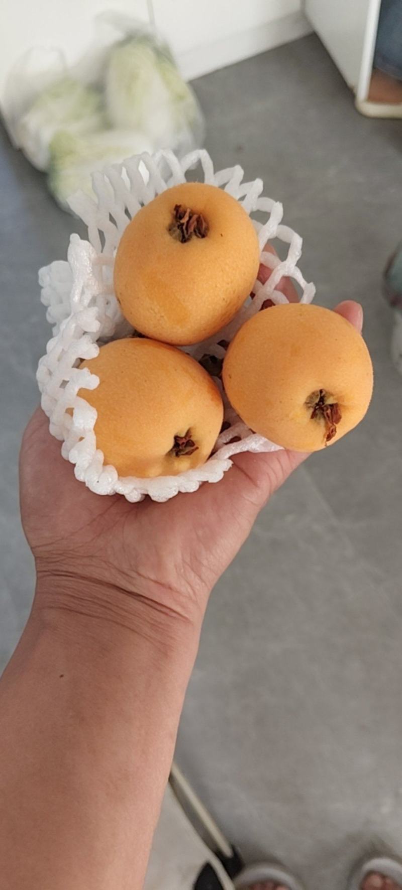 石棉枇杷