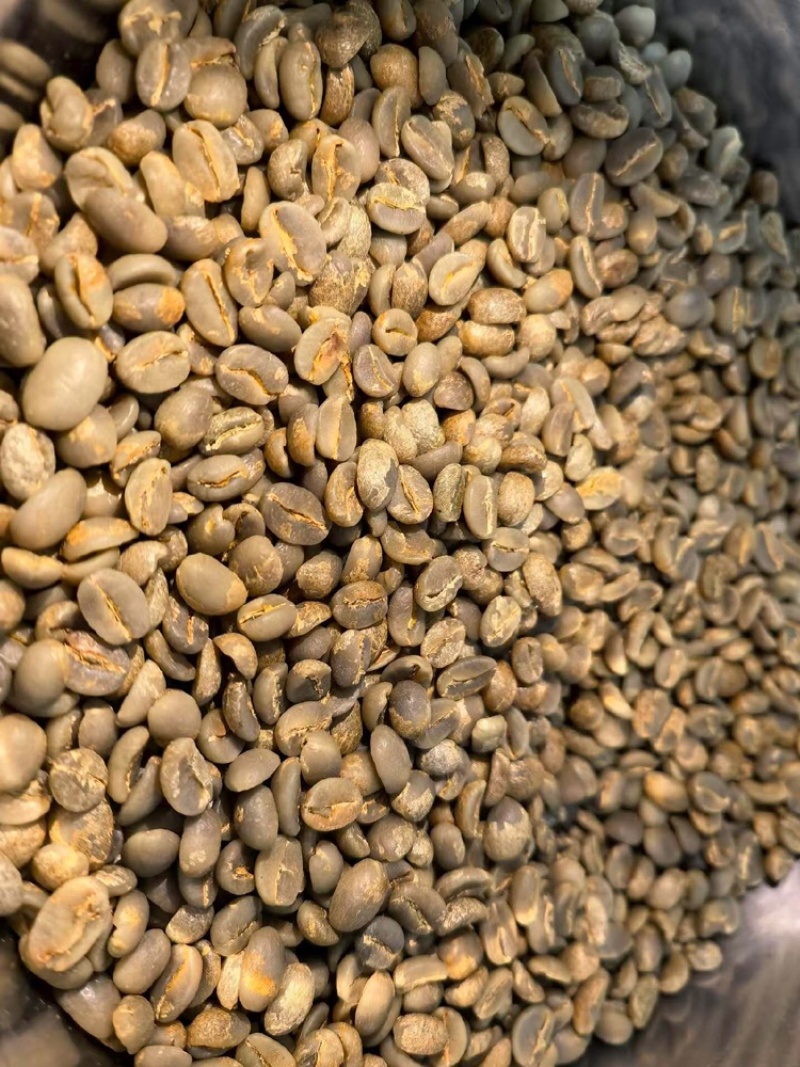 云南小粒咖啡豆基地直供价格优惠欢迎致电