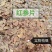 红参中药材正宗红参高丽参无糖长白山红参片