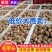 毛芋头/山东毛芋头8520【规格齐全/常年供应】代发全国