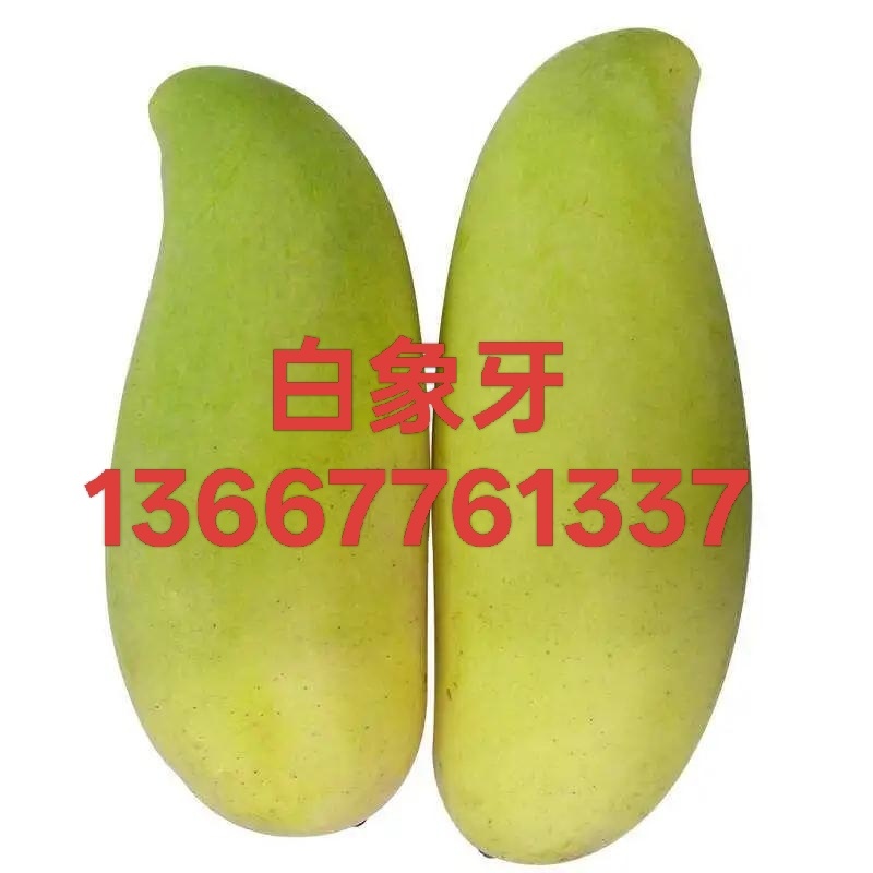 大量供应台农苗