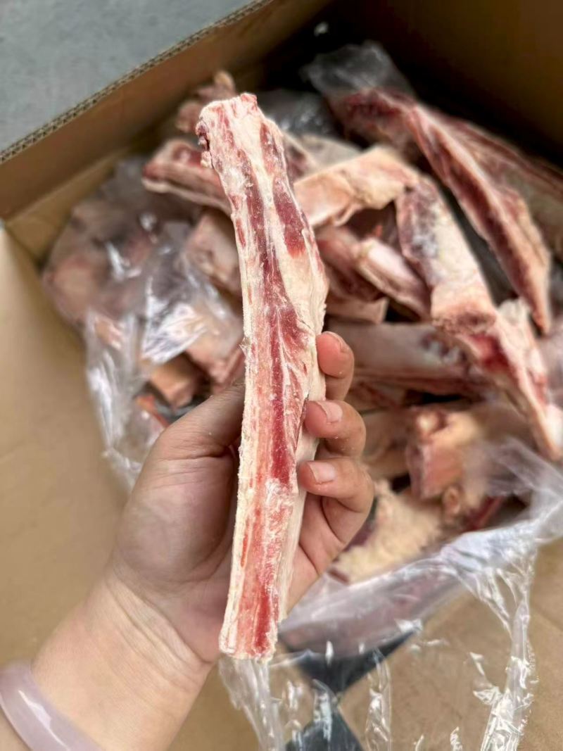 牛肋条段