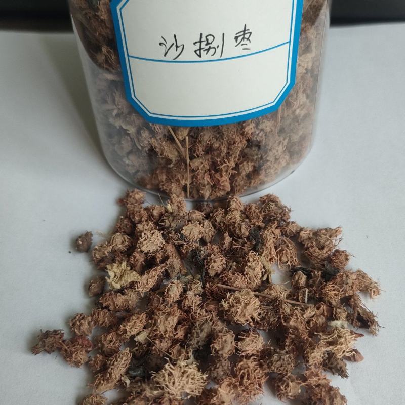 沙拐枣种子
