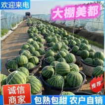 无籽美都西瓜【宁夏西瓜】规格齐全/大棚西瓜/全国发货