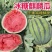 『麒麟美都瓜』万亩基地直供/常年供应/包熟包甜/全国发货