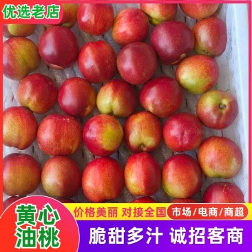 云南露天珍珠枣油桃，黄心油桃，，，，，，