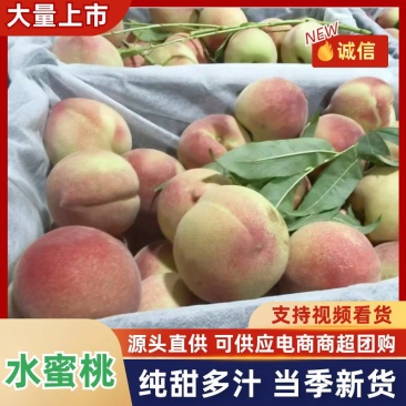 云南高山水蜜桃，突围毛桃，精品货，货发全国，，，，，，，