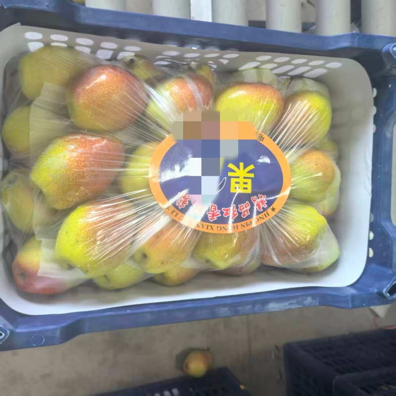 红香酥梨大量供应，全国发货，可对接电商商超市场等