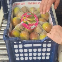 精品红香酥梨，产地直发，保质保量，可视频看货，量大从优