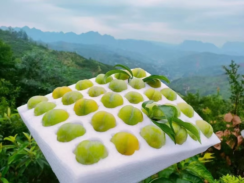 贵州省青脆，李蜂糖