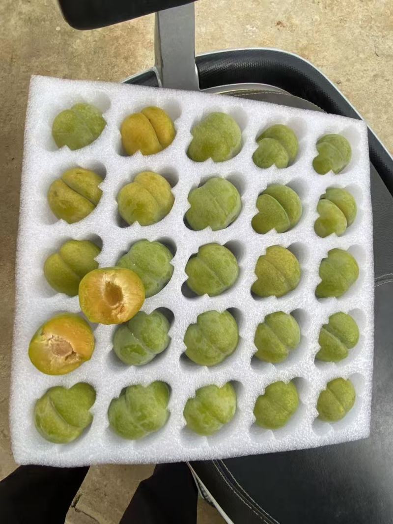 贵州省青脆，李蜂糖