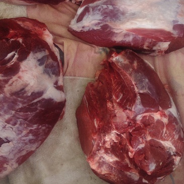 东北黄牛肉