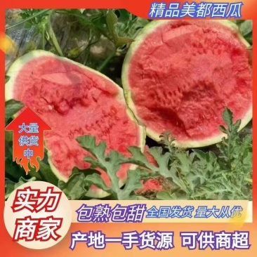 精品美都西瓜基地直发堆积电商市场商超包熟包甜