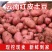 （红皮土豆）云南红皮土豆品质保证产地直销欢迎选购