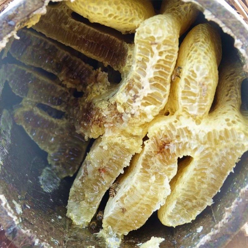 野生蜂巢蜜嚼着吃纯正天然老巢蜜正宗农家自产土蜂蜜蜂窝蜜瓶