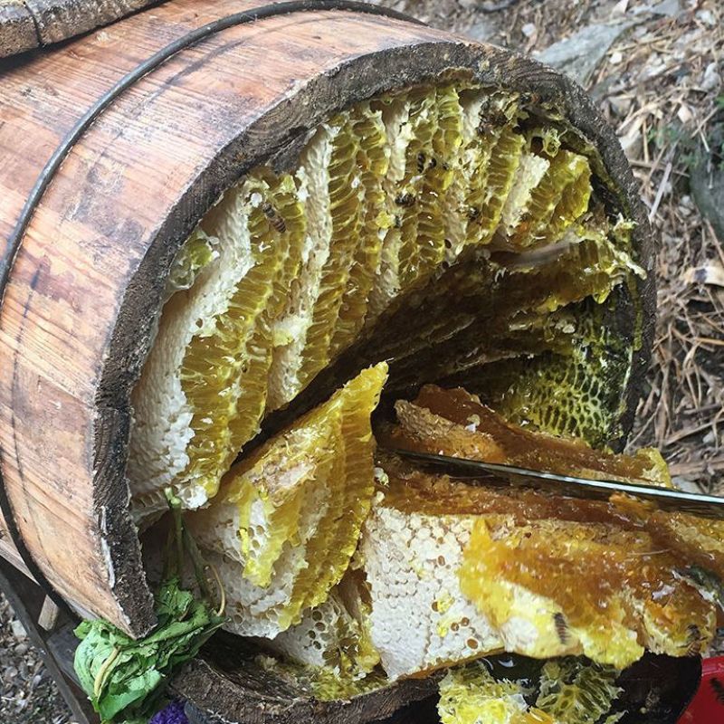 野生蜂巢蜜嚼着吃纯正天然老巢蜜正宗农家自产土蜂蜜蜂窝蜜瓶