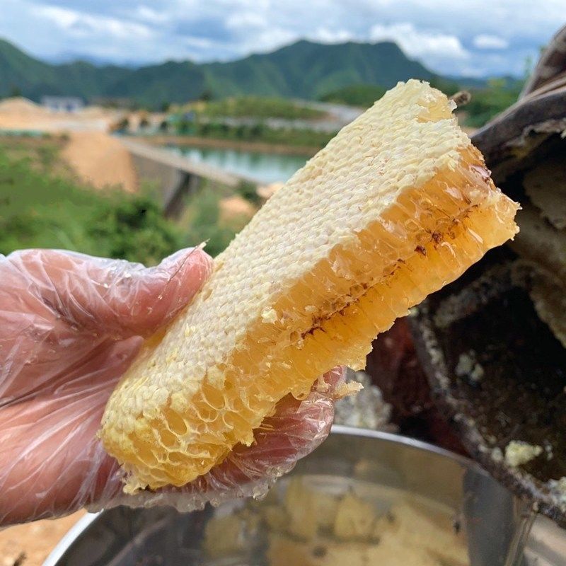 野生蜂巢蜜嚼着吃纯正天然老巢蜜正宗农家自产土蜂蜜蜂窝蜜瓶