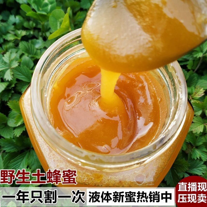 野生蜂巢蜜嚼着吃纯正天然老巢蜜正宗农家自产土蜂蜜蜂窝蜜瓶