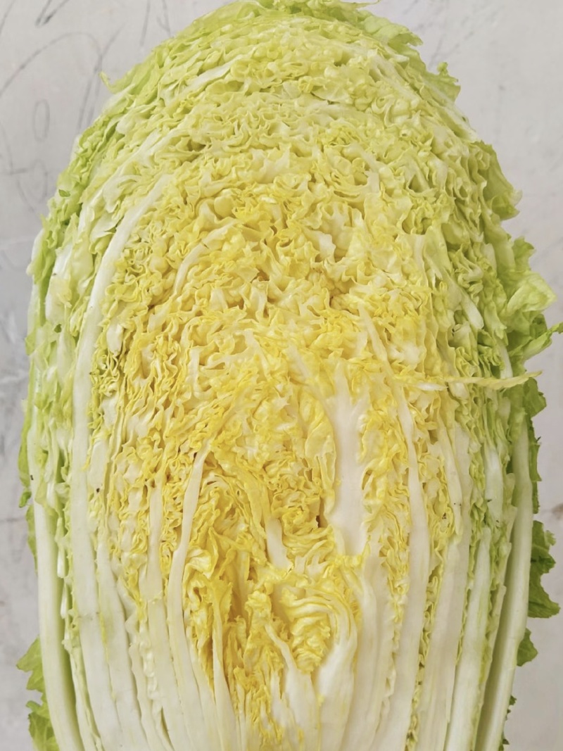 【黄心白菜】山东白菜/兰陵黄心白菜/价格便宜质量三包
