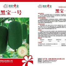 黑宝一号
