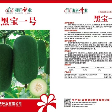 黑宝一号
