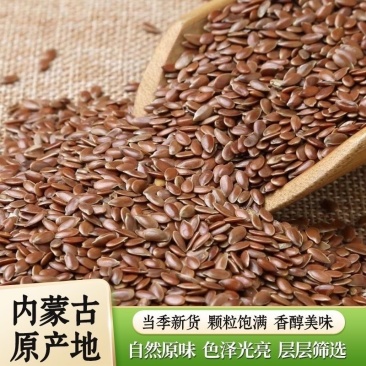 亚麻籽中药材无硫正品内蒙水洗精品亚麻籽批发零售