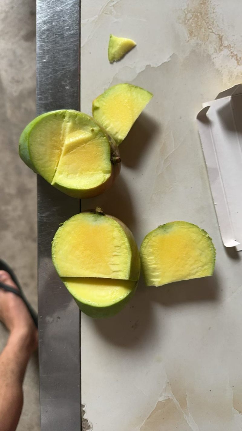 云南元江台芒电商货大量批发