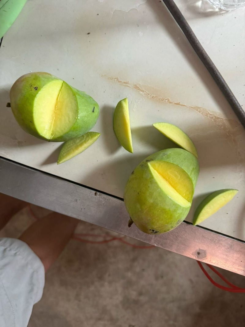 云南元江台芒电商货大量批发